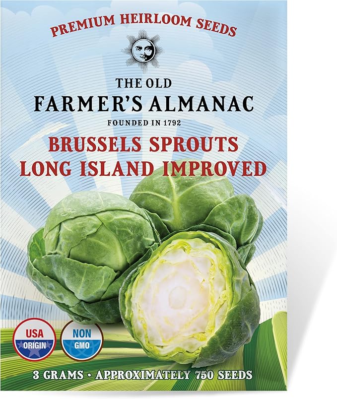 The Old Farmer's Almanac Heirloom Brussels Sprouts Seeds (Long Island Improved) - Approx 700 Seeds - Non-GMO, Open Pollinated, USA Origin