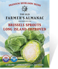 The Old Farmer's Almanac Heirloom Brussels Sprouts Seeds (Long Island Improved) - Approx 700 Seeds - Non-GMO, Open Pollinated, USA Origin