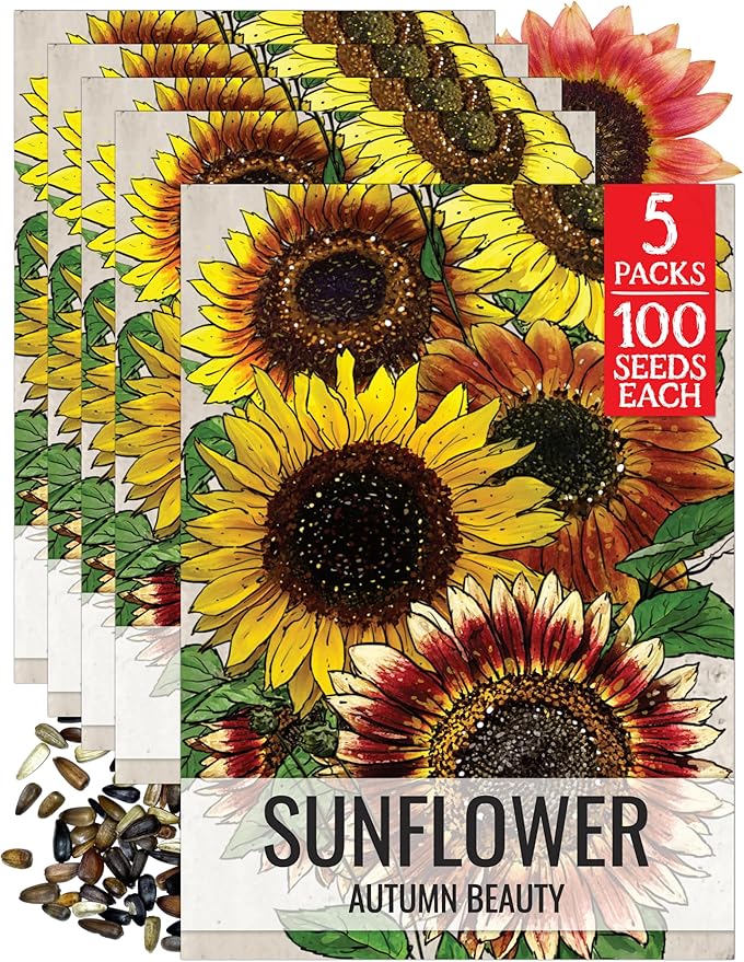 Seed Needs Sunflower Seeds to Plant Autumn Beauty Sunflowers (Mixture) - Heirloom & Open Pollinated Flower Seed to Plant an Outdoor Wildflower Butterfly Garden - Makes a Great Cut Flower (5 Packs)