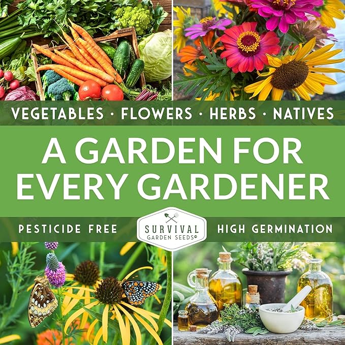 Survival Garden Seeds - Luffa or Loofah Seed for Planting - 1 Packet with Instructions to Plant and Grow Ornamental Gourds in Your Home Vegetable Garden - Non-GMO Heirloom Variety