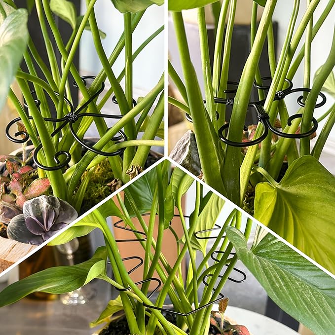 4PCS Metal Plant Stakes for Indoor Plants, 4.3 * 4.1 in Stackable Monstera Stem Support Hook for Growth, Stabilizer for Leaves & Adjustable Clamp Set Accessories for Climbing Plants (Ring)