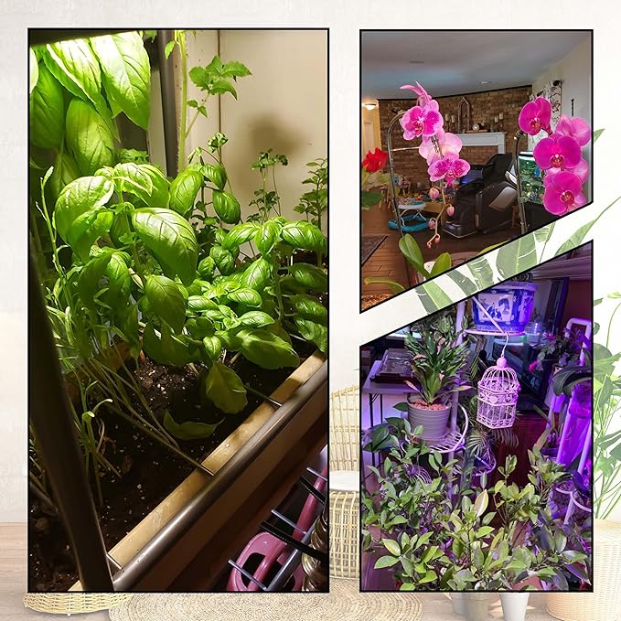 Full Spectrum Grow Light Bulbs 9W E26 A19 Sun Plant Growing Bulb 100W Equivalent with 5000K Red Blue LEDs for Indoor Small Plants Growing, Indoor Greenhouse, Indore Garden, Hydroponics, School, 1 Pack