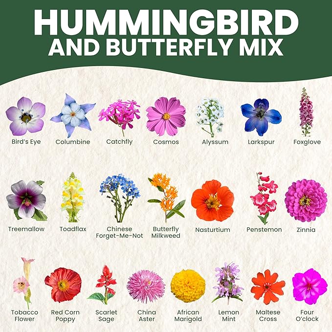 Hummingbird Butterfly Mix - Large 5g Envelope - 1,000 Flower Seeds for Planting - Wildflower Mix