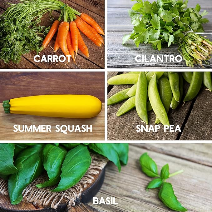 10 Assorted Organic Vegetable Seeds for Planting - ~3,200 + Heirloom Non-GMO Fruit Seeds, Herb Seeds, & Vegetable Seeds - with Grow Guide - Broccoli, Basil, Watermelon, Cilantro, Carrot, Kale, & More