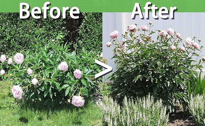 TCBWFY 8 Sets Peony Support Cage, 12" Dia x 24" High, Heavy Duty Metal Plant Support, Grow Through Hoops Grids, 4mm Legs, Green, Round