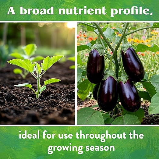 Down to Earth All Natural Fertilizer Organic Backyard Bundle, Flower Garden and Vegetable Garden, 5lb Each