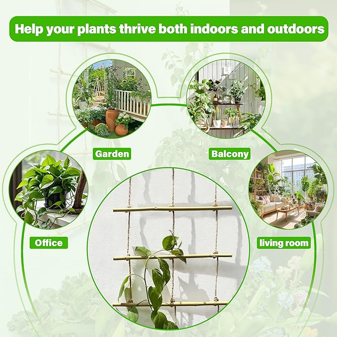 Natural Bamboo Ladder Plant Trellis 79 in L x 12 in D Ideal for Climbing Plants, Providing Reliable Support Suitable for Outdoor Walls, Gardens, patios, and Similar Settings