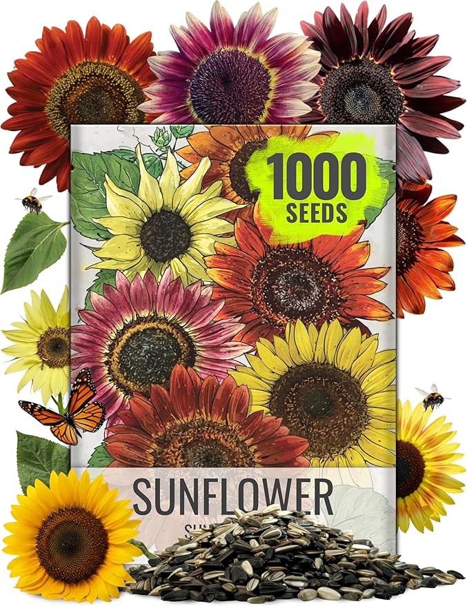 Seed Needs Sunflower Seeds to Plant Sunset Blend 7 Varieties Mix | 1000+ Seeds Helianthus Annuus Heirloom Open Pollinated Bulk Flower Seed | Multicolored Sun Flowers