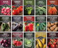 Vegetable Garden Seed Vault for Planting – 15 Pack Collection | Heirloom Non-GMO Family Garden Kit & Gift – Tomato, Lettuce, Cucumber & Squash – Indoor or Outdoor Growing – Survival Garden Seeds