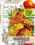 Seed Needs. Petite Marigold Seeds - Blend of 250 Heirloom Seeds for Planting Tagetes patula - Ruffled Flowers to Attract Pollinators and to Grow a Butterfly Garden (1 Pack)