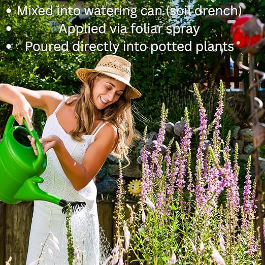 Full Circle Premium Plant Tonic – 16oz Organic Liquid Fertilizer Concentrate with Worm Castings – Compost Tea for Indoor/Outdoor Plants, Vegetables, Houseplants, Orchids, Succulents