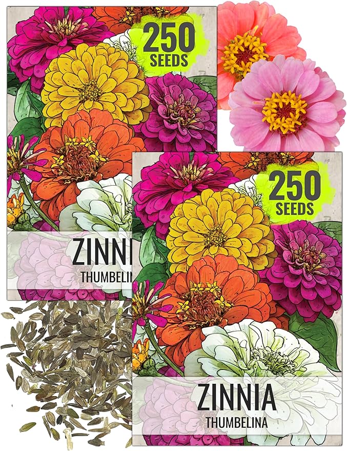 Seed Needs Thumbelina Zinnia Seeds for Planting - Heirloom & Open Pollinated Annual Dwarf Cut Flowers - Grow a Butterfly Garden to Attract Pollinators (2 Packs)