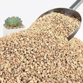 NUPICK 6lb Maifanitum Stones for Succulent, 1/8"-1/4" Golden Pea Gravel for Cactus, Small Pebbles for Indoor Plants Soil Covers, Decorative Rocks for Bonsai, Vases Fillers, Aquarium, Top Dressing