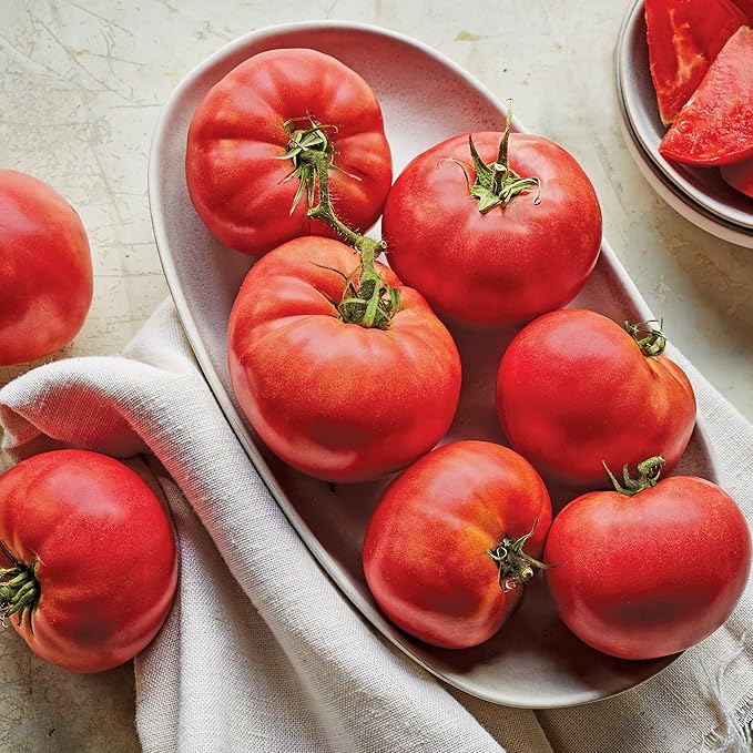 Burpee 'Delicious' Heirloom Tomato Seeds - Non-GMO, Indeterminate, Heirloom, Slicer Tomato, 100mg Seed Packet for Home Gardening