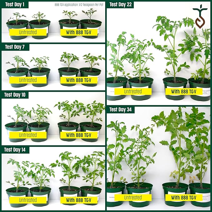 2.25lb Tomato & Vegetable Plant Food Fertilizer Triple Play 8-8-8 (Covers Up to 250 Square Feet)