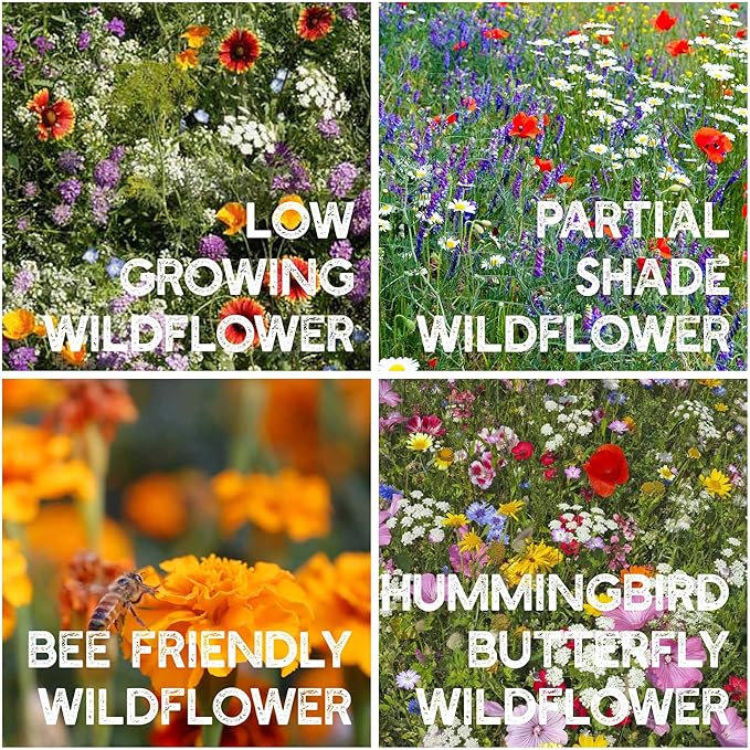 35 Varieties of Flower Seeds for Planting, ~20,000 Seeds - Includes Annuals, Perennials, & Wildflowers - Our Largest Assortment of Bulk Flower Seeds - Premium Flower Garden Seed Collection