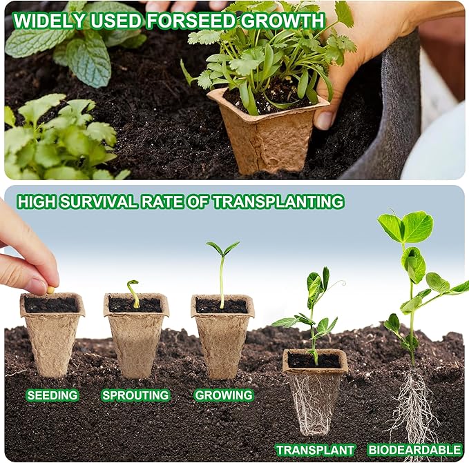 QDBNW 240 Cells Seed Starter Tray Kit, Biodegradable Peat Pots for Seedlings Trays, Plant Starter Seed Germination Kit with 40 Labels and 2 Transplant Tools (20, 240 Cells)