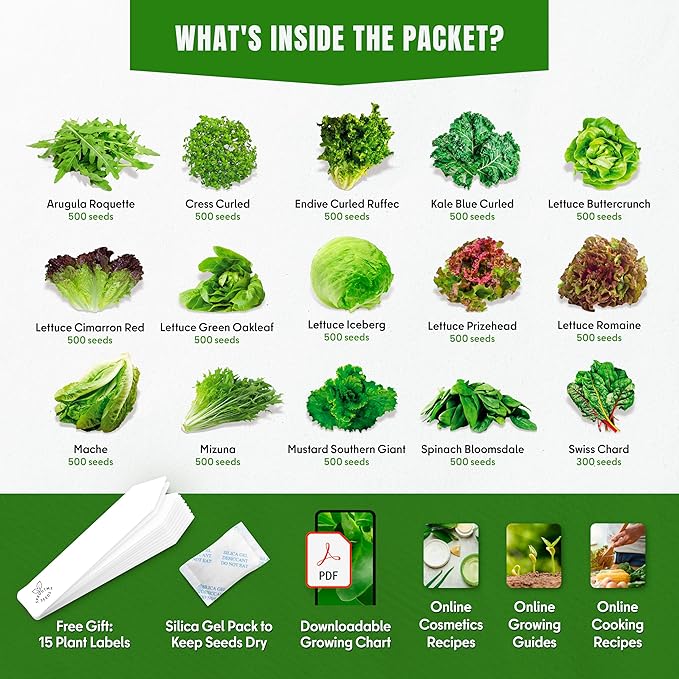 Cold Season Lettuce & Salad Greens Seeds – 15 Fall & Winter Garden Mix, 7300+ Non-GMO Heirloom Seeds Indoor Outdoor Planting