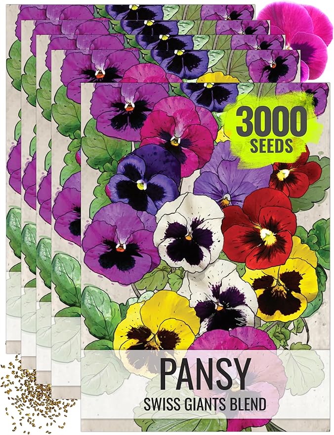 Seed Needs, Swiss Giants Pansy Seeds - 600 Heirloom Seeds for Planting Viola wittrockiana - Annual Edible Flowers that Attract Butterflies & Other Pollinators (5 Packs)