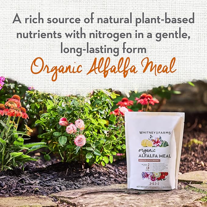 Whitney Farms Organic Alfalfa Meal - 2-0.3.2 Slow-Release Nitrogen Fertilizer and Soil Enhancer for Vegetables, Flowers, Herbs and Shrubs - 2 lbs.