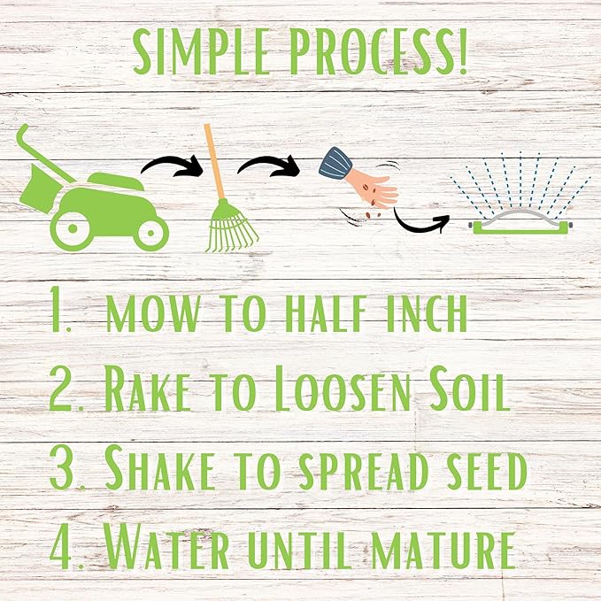 Flawn Seed Kits Micro Clover Seed, 2.2 Oz, Organic Coated, Eco-Friendly, Low Growing, Low Maintenance, Lawn Alternative, Compostable Pouch, Covers Up to 500 Sqft