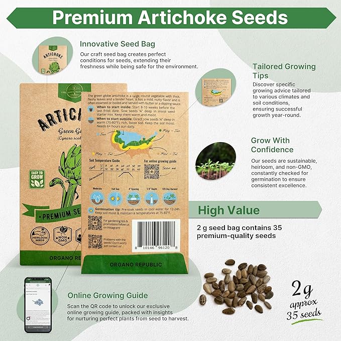 Green Globe Artichoke Seeds Pack 2G - Over 35 of Non-GMO Heirloom Artichoke Seeds for Planting Vegetables in Individual Seed Packet, Vegetable Seeds for Planting Home Garden Indoor & Outdoor Gardening
