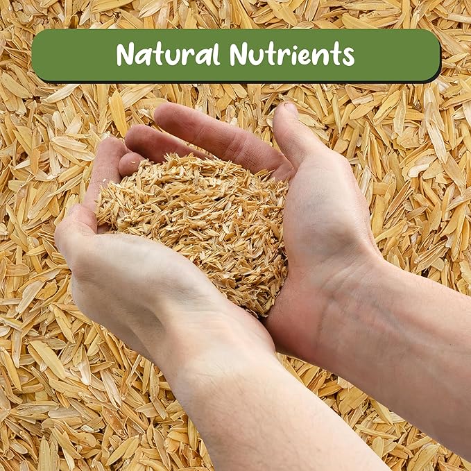 Soil Sunrise Horticultural Grade Rice Hulls (4 Quarts) All Natural Organic for House Plants and Chicken Bedding