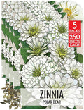 Seed Needs Polar Bear White Zinnia Seeds for Planting - Heirloom & Untreated - Grow a Butterfly Garden to Attract Butterflies, Bees and Pollinators - Great Cut Flowers (5 Packs)