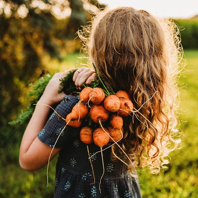 Parisian Carrot (Paris Market) - 300 Seeds - Flavorful French Heirloom Baby Carrots - Unique, Round, Ball Carrots, Non-GMO Heirloom Carrot Seeds for Planting in The Home Garden, Thresh Seed Company