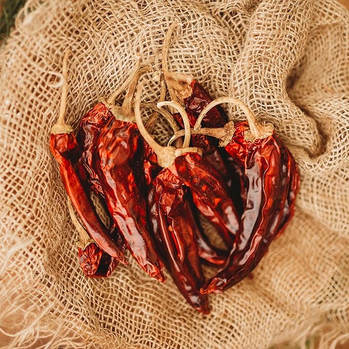 Guajillo Chile Pepper - 25 Seeds - Mexican Heirloom & Open-Pollinated Variety, Non-GMO Vegetable Seeds for Planting in The Home Garden, Thresh Seed Company