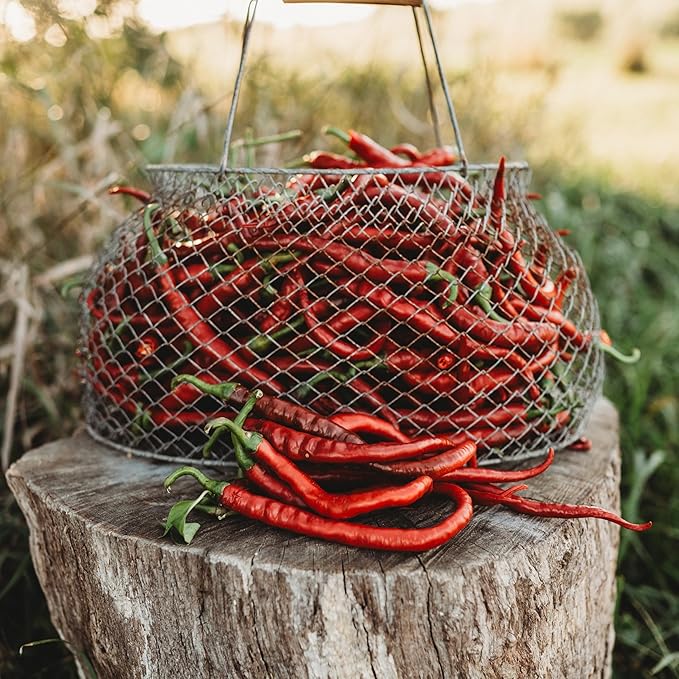 Tatli Kil Sivri (Sweet Sivri) Turkish Pepper - 25 Seeds - Heirloom & Open-Pollinated Variety, USA-Grown, Non-GMO Vegetable Seeds for Planting Outdoors in The Home Garden, Thresh Seed Company
