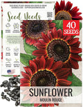 Seed Needs Moulin Rouge Sunflower Seeds for Planting Red Sunflowers - F1 Hybrid Deep Burgundy Flowers Perfect for Bouquets & Floral Arrangements as a Cut Flower (1 Pack)
