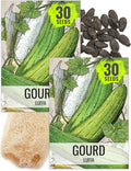 Seed Needs Vegetable Seeds for Planting Luffa Sponge Gourds - Non-GMO Heirloom & Untreated Loofah Veggie Seed to Plant a Home Grown Outdoor Garden (2 Packs)