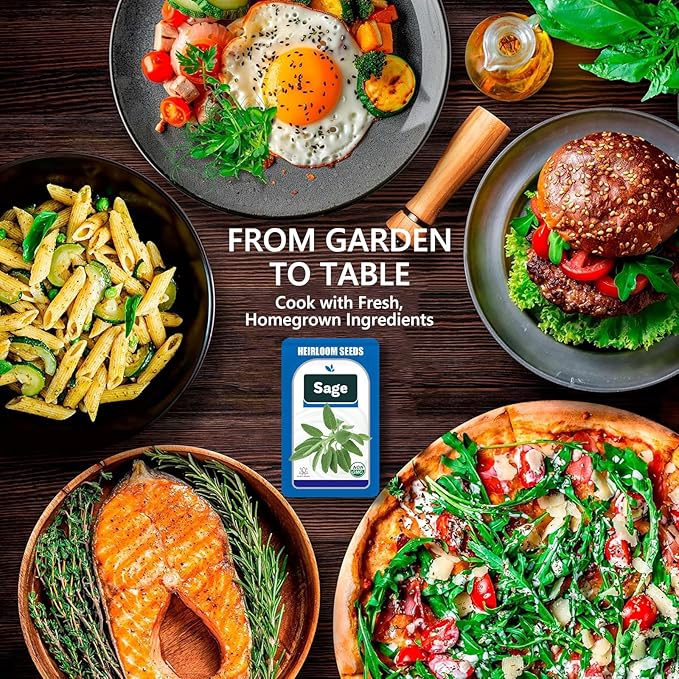 Sage Seed Pods for All Hydroponics Growing Systems, 12 Pods Herb Kit with 200+ Seeds of Sage, Grow Your Own Herb Garden at Home