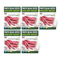 Organic Pinto Bean Seeds - USDA Organic, Non-GMO, Open Pollinated, Heirloom, USA Origin (5 Packets - 100 Grams - Approx 180 Seeds)