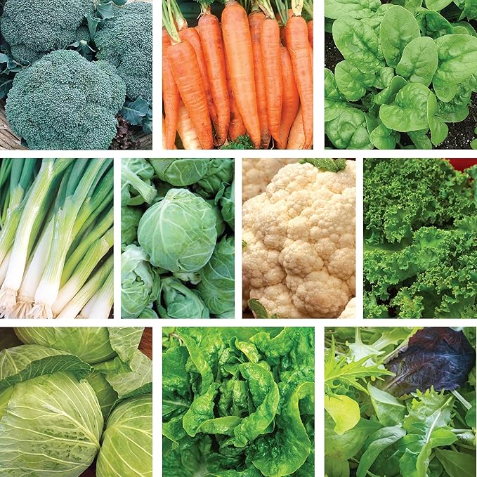 Ferry-Morse Cold Hardy Vegetable Seed Garden Bundle - 10 Pack