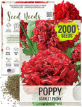 Seed Needs Scarlet Peony Poppy Seeds for Planting - Heirloom & Open Pollinated Annual Flowers - Red Ruffled Blooms to Attract Butterflies to the Garden (1 Pack)
