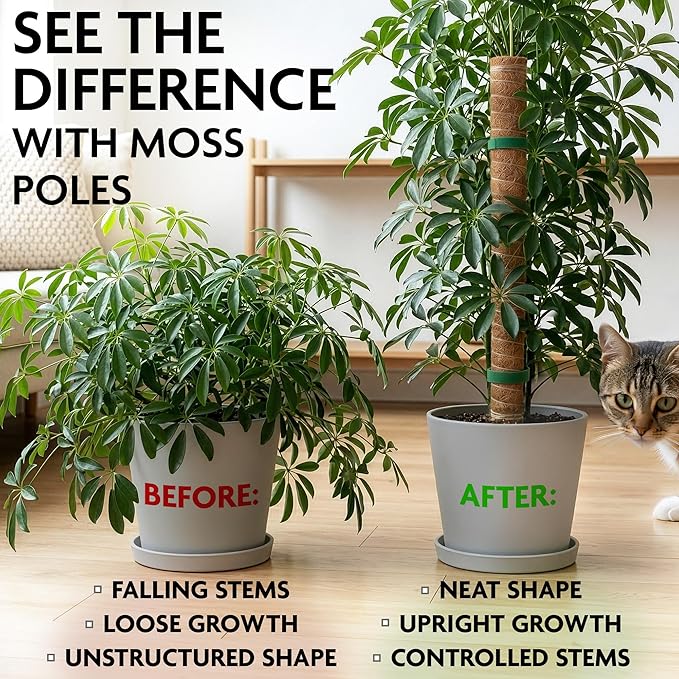 Moss Pole 26.4" Small Monstera Plant Support 2 Pcs Set - Pothos Plant Climber Support with Connectable Design and Fixation Strip - Coconut Fiber Moss Poles for Monstera, Money Plants, Philodendron