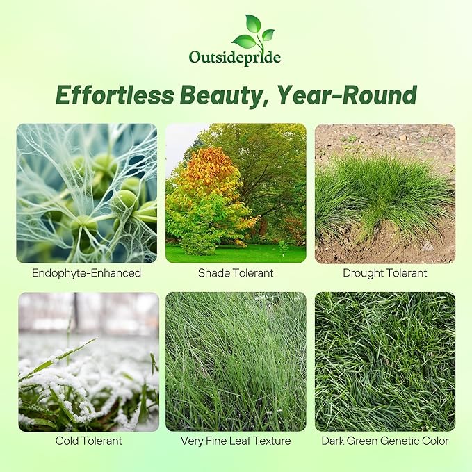 Outsidepride Hard Fine Fescue Grass Seed - 10 lbs. Low-Growing, Drought & Shade-Tolerant, OptiGrowth Coated Seed for Lawn & Turf, Ideal for Low-Maintenance, Dense, & Resilient Green Ground Cover
