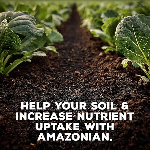 Soil Seed & Water Amazonian Dark Earth Organic Soil Amendment with Biochar & Minerals – Natural Fertilizer for Plants, Vegetables & Lawns - OMRI Listed Organic Fertilizer