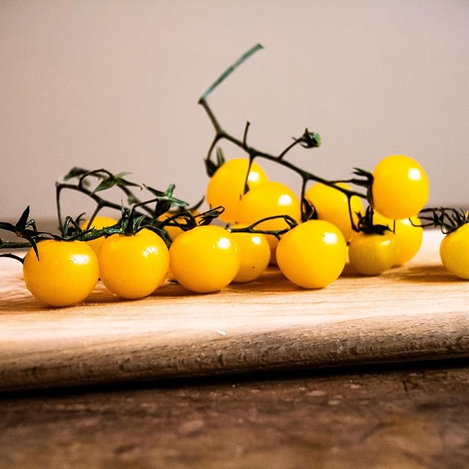 SUNSUGAR SUN SUGAR TOMATO SEED ~ SWEETEST TOMATO AVAILABLE ? - EXTREMELY SWEET - Very Early Cherry Tomato - 50 - 55 DAYS (0015 Seeds - 15 Seeds - Pkt. Size)