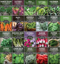 Hydroponic & Indoor Garden Seed Kit – 20 Compact Heirloom Vegetable & Herb Varieties | Apartment, Small-Space, Patio & Vertical Tower Growing | Family Garden Gift – Survival Garden Seeds