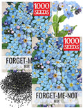 Seed Needs Blue Forget Me Not Seeds for Planting Myosotis Flowers - Heirloom & Open Pollinated Wildflowers to Plant an Outdoor Butterfly Garden to Attract Pollinators (2 Packs)