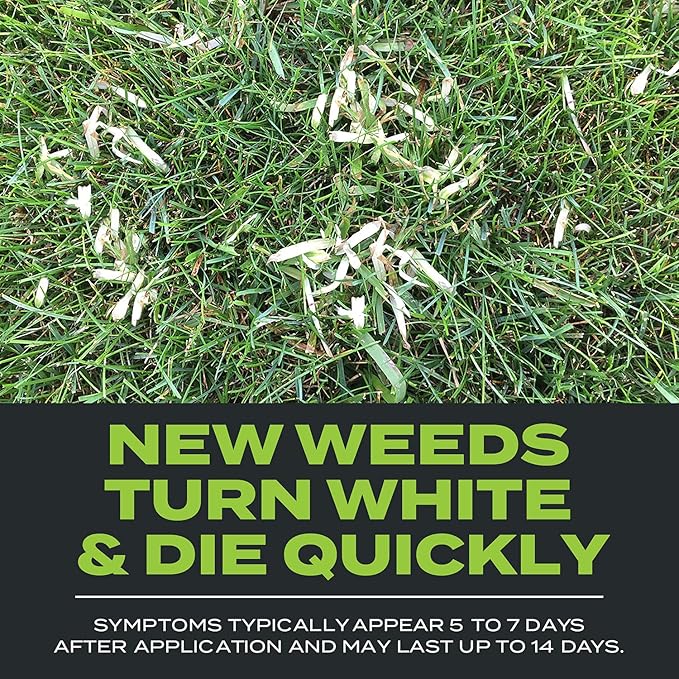 Scotts Turf Builder Triple Action Built For Seeding, Weed Preventer and Fertilizer for New Lawns, 4,000 sq. ft., 17.2 lbs.