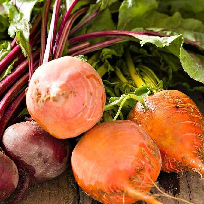 Purely Organic Golden Detroit Beet Seeds - Approx 500 Seeds - USDA Organic, Non-GMO, Open Pollinated, Heirloom, USA Origin