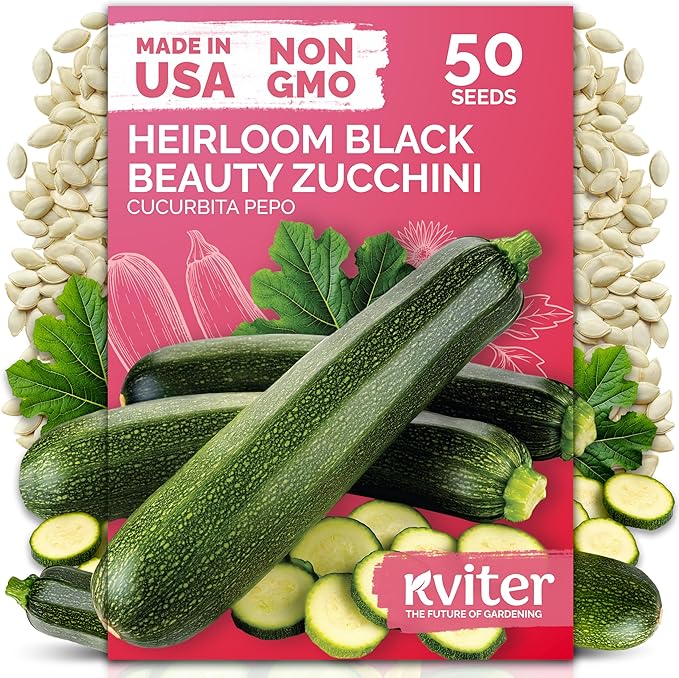 KVITER 50 Black Beauty Zucchini Summer Squash (Cucurbita Pepo) Seeds – High-Yielding Heirloom for Gardens and Beds – Dark Green Fruits, Tender Flesh, Excellent for Cooking