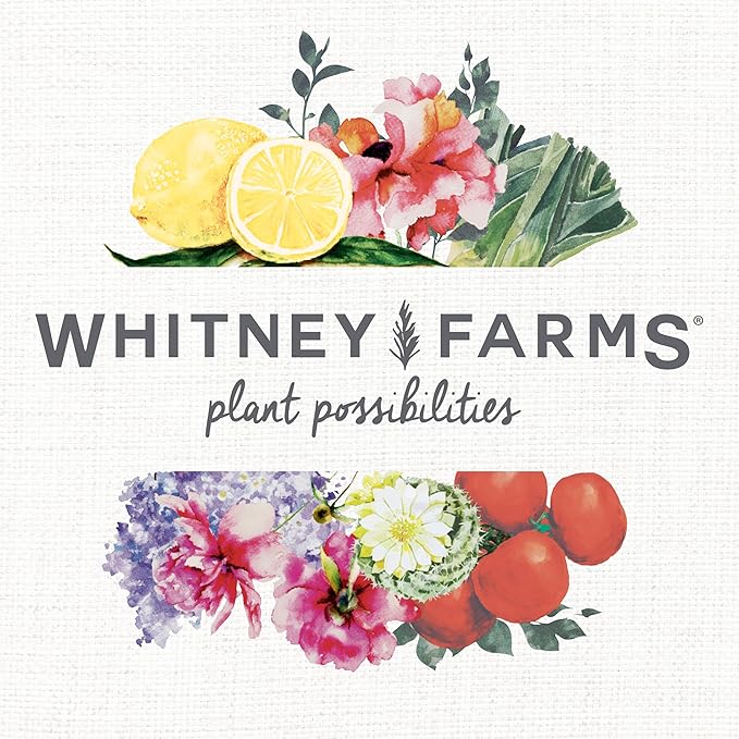 Whitney Farms Organic & Natural All Purpose Plant Food 9-2-6 - Fertilizer for Raised Bed Containers and In-Ground Vegetables, Flowers, Fruits and Herbs - 4 lb.