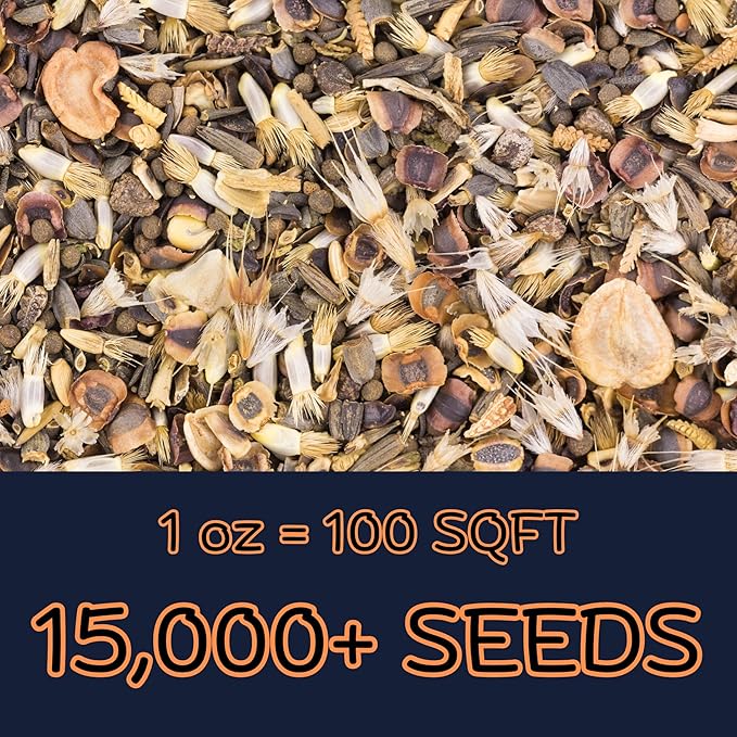 Beneficial Bug Wildflower Mix (1oz) Sprinkle a Little Magic—Our Shade, Perennial, Hummingbird, Deer-Resistant, and Other mixes Bring Vibrant Color and pollinator Joy to Any Space.