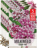 Seed Needs Pink Swamp Milkweed Seeds for Planting - Heirloom & Untreated - Grow a Butterfly Garden to Attract Monarch Butterflies & Pollinators (5 Packs)