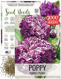 Seed Needs Poppy Seeds for Planting Purple Peony Poppies - Heirloom & Open Pollinated Violet Flowers to Attract Butterflies & Pollinators to a Butterfly Garden (1 Pack)